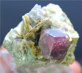 Deep Pink Color Apatite Crystal on matrix