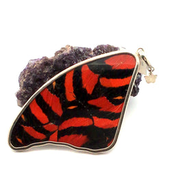 Ormachea Butterfly Orange/Red "80"