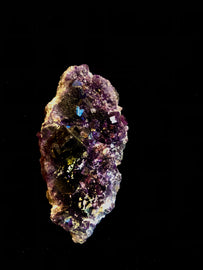 Purple Florite